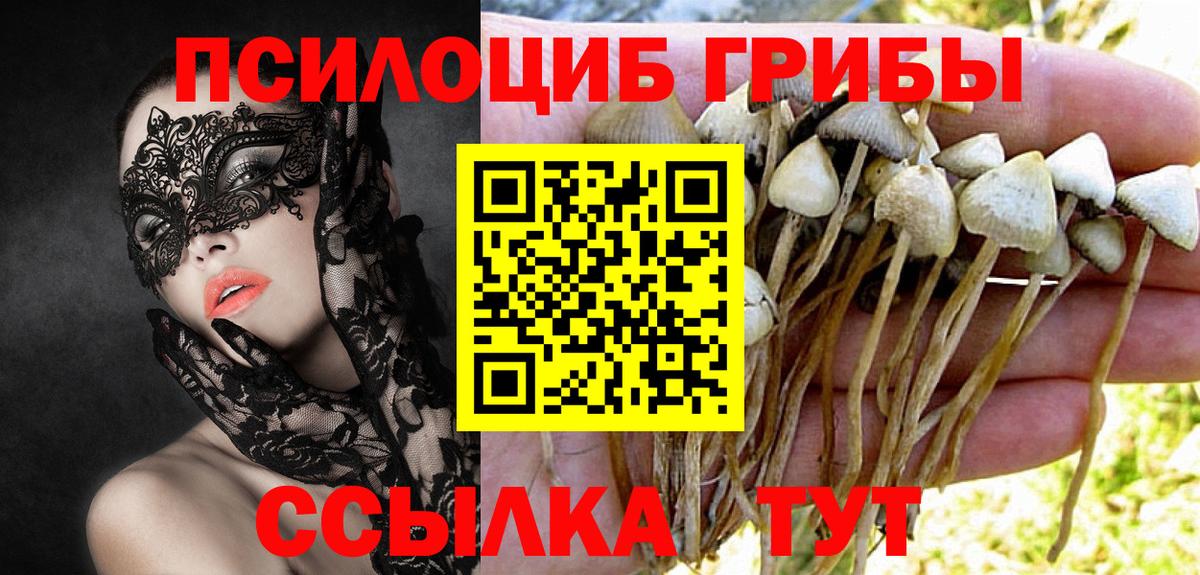 Галлюциногенные грибы Magic Shrooms  Вход с VPN  Новомосковск 